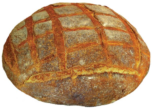 VEROPANE Gefrorenes Brot aus Apulien aus nachgemahlenem Hartweizengrieß 4x2Kg/Oropan