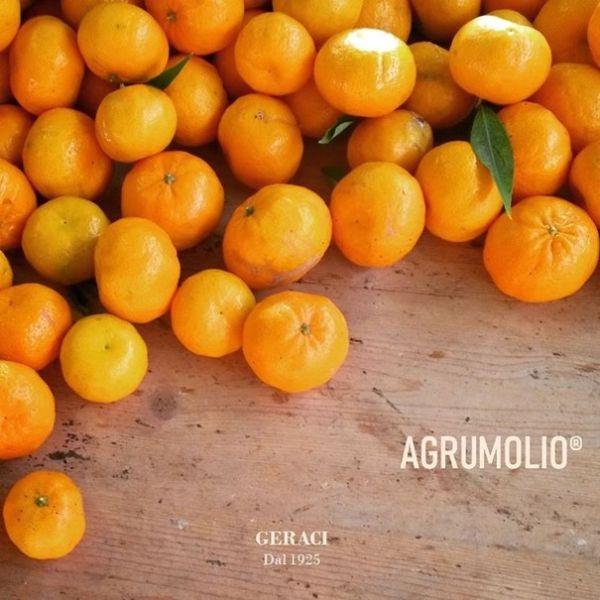 Agrumolio Olio EVO Geraci mit Mandarine in Keramikflasche 0,1L | Olivoil