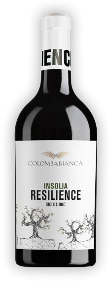 Resilience Insolia Sicilia DOC 0,75l 13% - 2021 | Colomba Bianca