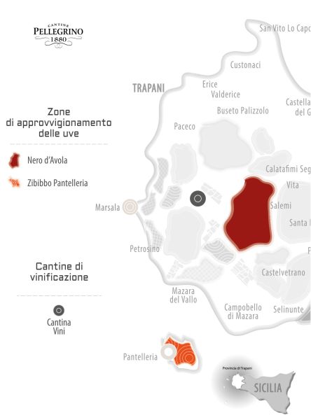 Isesi Pantelleria Bianco DOC 13% 0,75l - 2021 | Carlo Pellegrino