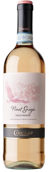 Pinot Grigio Venezia Rosato 0,75l 2020 12,5% | Concilio